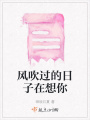 風吹過的日子在想你