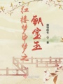 紅樓夢中夢之甄寶玉