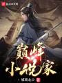 巔峰小說家
