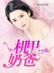 機(jī)甲奶爸