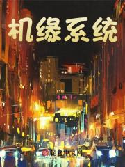 无删减小说《机缘系统》叶枫夏秋在线免费阅读