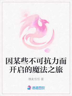 因某些不可抗力而開啟的魔法之旅