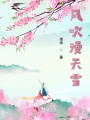 風(fēng)吹漫天雪