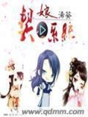 契娘系統