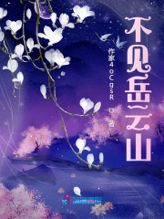 岳云山