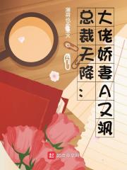 总裁天降：大佬娇妻A又飒小说阅读总裁天降：大佬娇妻A又飒慕夏夜司爵最新章节列表