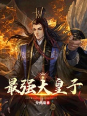 《极品大皇子》小说主角赵铮全文章节免费在线阅读-优文网