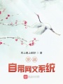 穿越：自帶網(wǎng)文系統(tǒng)