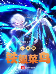 開局黑鐵級菜鳥