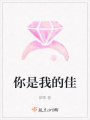 你是我的佳