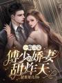 一胎三寶：傅少的嬌妻甜炸天