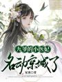 九爺?shù)男♂t(yī)妃，名動京城了