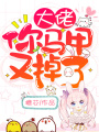 大佬，你馬甲又掉了