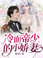 冷面帝少的小嬌妻