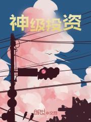 神级投资（神级投资）小说完结版在线阅读