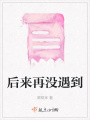 后来再没遇到