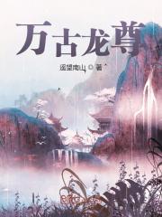 苏寒萧雨慧小说《万古龙尊》在线阅读-经典文学
