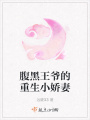 腹黑王爺的重生小嬌妻