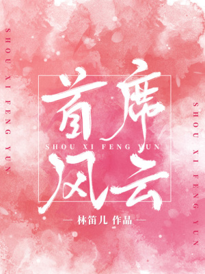 首席風(fēng)云（全集）