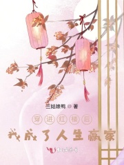 穿進紅樓后，我成了人生贏家