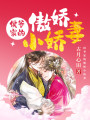 侯爺家的傲嬌小嬌妻