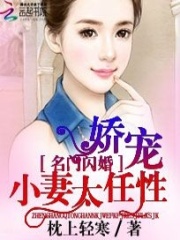 名門閃婚：嬌寵小妻太任性