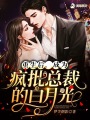 重生后，成為瘋批總裁的白月光