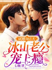 試婚365天：冰山老公寵上癮