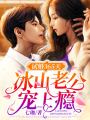 試婚365天：冰山老公寵上癮