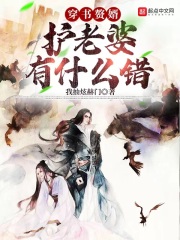 穿書贅婿：護老婆有什么錯