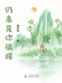 夢(mèng)斷之仍未見你模樣
