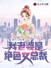 我老婆是绝色女总裁小说阅读，我老婆是绝色女总裁完整版