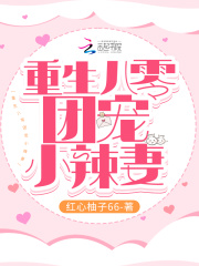 重生八零團寵小辣妻