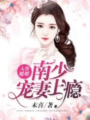 入骨暖婚：南少寵妻上癮