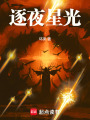 逐夜星光