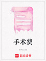 手術費