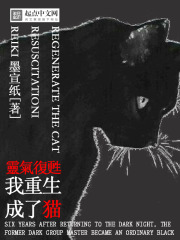 靈氣復蘇：我重生成了貓