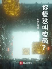 《你管这叫电商？》小说章节在线试读，《你管这叫电商？》最新章节目录