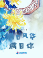 滿目風華，滿目你