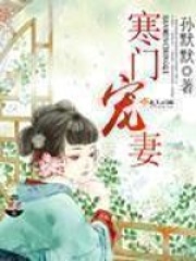 寒門寵妻