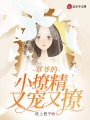 覃爺的小撩精又寵又撩