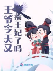 王爷今天又暗杀王妃了吗小说完整版全文免费阅读-瑞奇文学