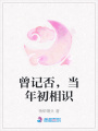 曾記否，當年初相識