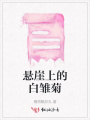 懸崖上的白雛菊