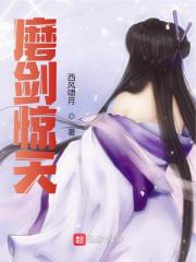 磨剑惊天小说完整版全文免费阅读