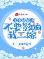 王爺請(qǐng)放手！不要影響我二嫁