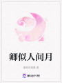 卿似人間月