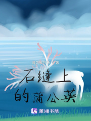 石縫上的蒲公英