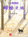 小黃貓的探險之旅