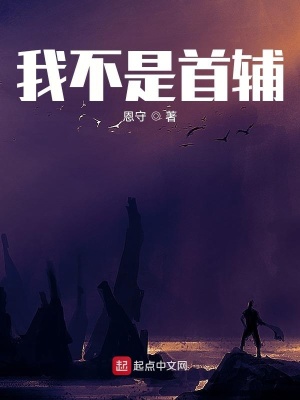 我不是首輔